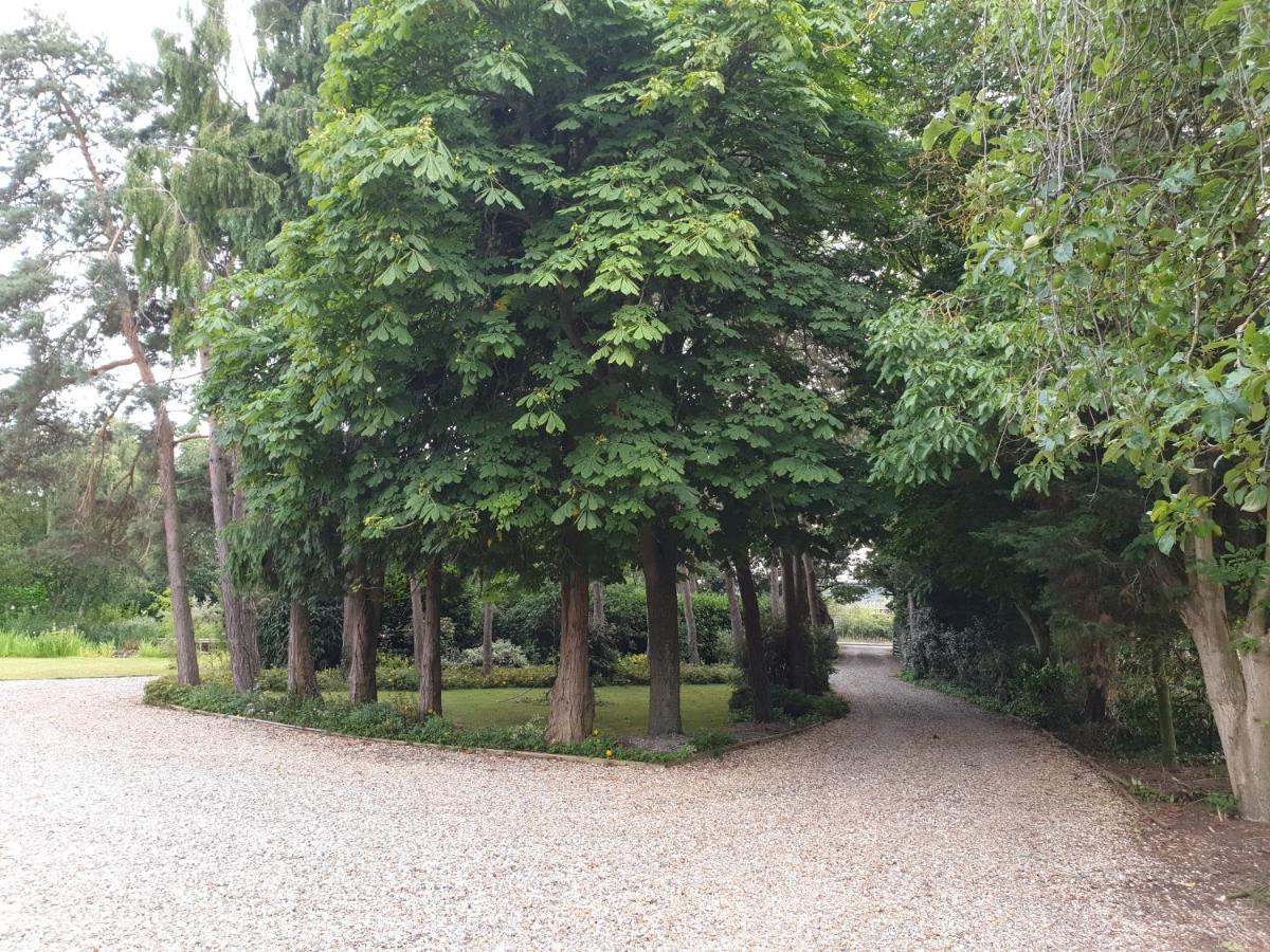 The Reading Whole Chalet With Lake And Two Acre Gardens Dış mekan fotoğraf