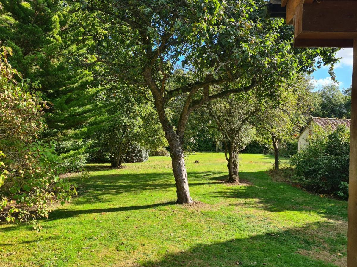 The Reading Whole Chalet With Lake And Two Acre Gardens Dış mekan fotoğraf